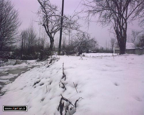 برف در روستای کرکان بندرانزلی 